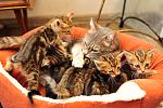     
: _DSC0501.jpg
: 10
:	147.1 
ID:	11079723