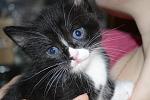    
: _DSC4676.jpg
: 15
:	117.3 
ID:	11080896