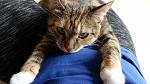     
: 20160418_145603.jpg
: 7
:	152.2 
ID:	11081269