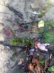     
: P60319-091758.jpg
: 17
:	142.4 
ID:	11081342