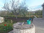     
: P4170023.jpg
: 51
:	264.5 
ID:	11082459