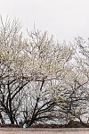     
: IMG_3649-1.jpg
: 10
:	211.5 
ID:	11086594