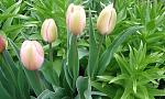     
: 1ввDSC00881.jpg
: 11
:	142.1 
ID:	11086663