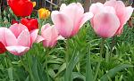     
: 1вDSC00983.jpg
: 39
:	123.4 
ID:	11086665