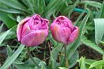    
: 1ллDSC00886.jpg
: 7
:	145.9 
ID:	11086687