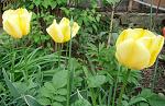     
: 1ппDSC00979.jpg
: 12
:	172.7 
ID:	11086703