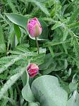     
: 1нDSC00884.jpg
: 6
:	164.1 
ID:	11086707