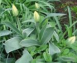     
: 1пDSC00889.jpg
: 7
:	230.4 
ID:	11086719