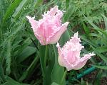     
: DSC00988.jpg
: 6
:	158.2 
ID:	11086759