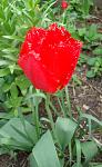     
: махровDSC00991.jpg
: 10
:	82.2 
ID:	11086761