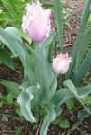     
: DSC00984.jpg
: 5
:	107.9 
ID:	11086764