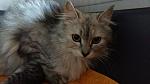     
: 20160403_175601.jpg
: 13
:	79.6 
ID:	11087479
