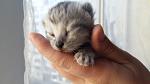     
: 20160403_175707.jpg
: 13
:	57.6 
ID:	11087480