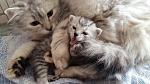     
: 20160412_172600.jpg
: 16
:	99.0 
ID:	11087485