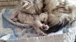     
: 20160412_172639.jpg
: 11
:	96.1 
ID:	11087519