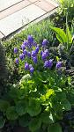     
: 20160416_082039.jpg
: 10
:	135.1 
ID:	11091623