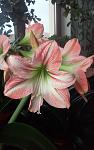     
: 20160409_094015.jpg
: 12
:	74.6 
ID:	11092583