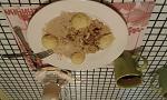     
: 20160421_182529.jpg
: 226
:	120.6 
ID:	11093577
