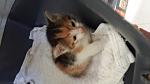     
: 20160424_174432.jpg
: 28
:	60.3 
ID:	11102126