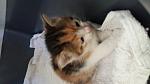     
: 20160424_174441.jpg
: 25
:	56.2 
ID:	11102127