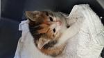     
: attachment-19.jpg
: 26
:	48.1 
ID:	11102250