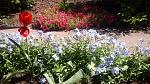     
: 20160424_121230.jpg
: 15
:	230.7 
ID:	11102463