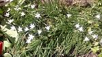     
: 20160424_121357.jpg
: 13
:	250.1 
ID:	11102485