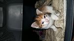     
: 20160425_121649.jpg
: 16
:	86.9 
ID:	11103747