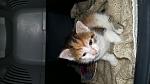     
: 20160425_121645.jpg
: 20
:	88.2 
ID:	11103796