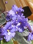     
: IMG_0888.jpg
: 9
:	104.2 
ID:	11104434