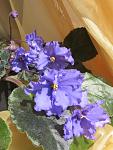     
: IMG_0886.jpg
: 5
:	107.3 
ID:	11104436