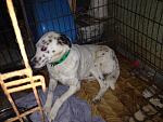     
: IMG_0779.JPG
: 82
:	263.1 
ID:	11104706