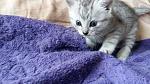    
: 20160426_121832.jpg
: 9
:	113.7 
ID:	11107598