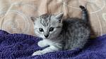     
: 20160426_121718.jpg
: 14
:	122.8 
ID:	11107599