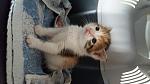     
: 20160426_142022.jpg
: 18
:	83.2 
ID:	11107974