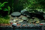     
: aqua1_february-16fls.jpg
: 20
:	172.7 
ID:	11108431