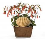     
: Kalanchoe_Tessa.jpg
: 15
:	123.6 
ID:	11108803