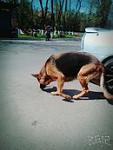     
: T5RORvv8pO8.jpg
: 45
:	7.0 
ID:	11109900