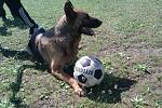     
: ATdVcdf72EM.jpg
: 28
:	29.4 
ID:	11109906