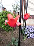     
: IMG_0535.jpg
: 10
:	167.6 
ID:	11110234