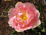     
: IMG_0512.jpg
: 16
:	124.7 
ID:	11110236