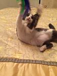     
: hEbbHo8_Cd4.jpg
: 26
:	138.9 
ID:	11112011