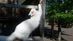     
: 20160428_091840.jpg
: 11
:	105.4 
ID:	11114273