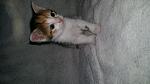     
: 20160428_195613.jpg
: 9
:	96.4 
ID:	11114807
