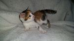     
: 20160428_194649.jpg
: 6
:	115.8 
ID:	11114836