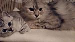     
: 20160428_224912.jpg
: 14
:	80.0 
ID:	11114887