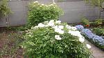     
: 20160429_151146.jpg
: 21
:	191.5 
ID:	11116462