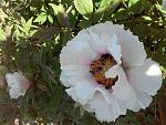     
: 20160427_172953.jpg
: 12
:	152.9 
ID:	11116525