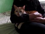     
: SAM_1242.jpg
: 12
:	61.7 
ID:	11117223