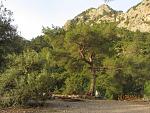     
: IMG_4643.jpg
: 66
:	156.8 
ID:	11117435